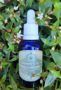 Picture of Organic CBD MCT Oil (Medium Potency)